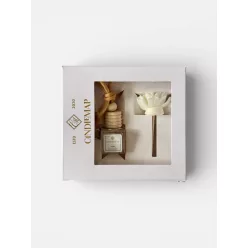 Odorizant auto – Axis