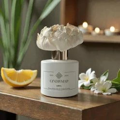 Difuzor cu flori Open 100 ml