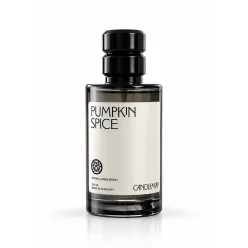 Pumpkin Spice spray de cameră și țesături 100 ml