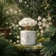 Secret Garden difuzorul floral de aromă 100 ml