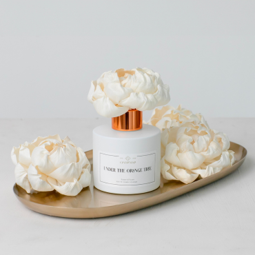 De ce este mai bun difuzorul cu flori decât odorizantul cu bețișoare?